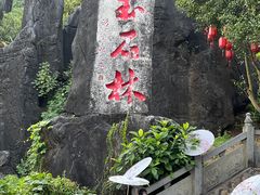 -玉石林风景区
