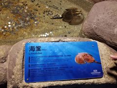 -大连圣亚海洋世界