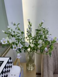 -MIDA蜜哒•科技逆龄美肤连锁