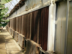 android_upload_pic-北戴河集发农业梦想王国