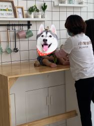 点击看大图 -小鬼当佳儿童摄影(通州外拍店)