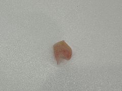 -树夏(成都招商大魔方店)