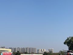 -广西壮族自治区药用植物园