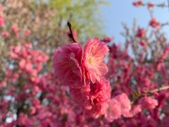 -大兴滨河森林公园