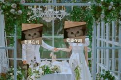 -金夫人婚纱摄影(总店)