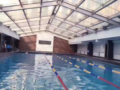 -金吉鸟健身游泳