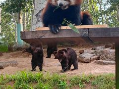 -北京野生动物园