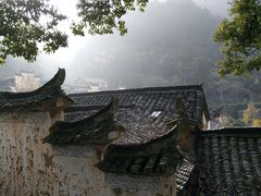 -杨家堂村