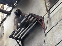 -昆明动物园