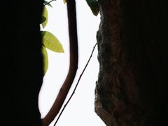 -昆明滇池国家级风景名胜区西山景区