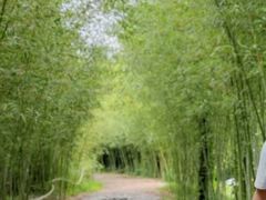 -竹泉村旅游度假区