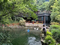 -十八棵（老龙井）御茶园(老龙井店)