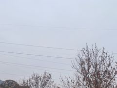 -北京凤凰岭