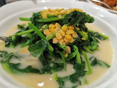 鲜豌豆瓣煮豆尖-陆壹捌餐厅(五大道店)