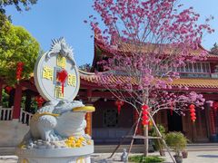 -天竺岩寺
