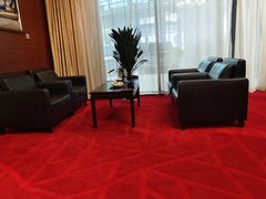 -郑州新郑国际机场T2航站楼-贵宾厅B区