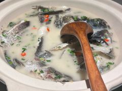 -老傅家湘潭水煮活鱼店(众一国际店)