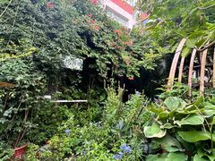 -斯多格书乡(北京大学畅春园店)