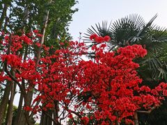 -华雅花园大酒店