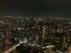 -东京都厅舍