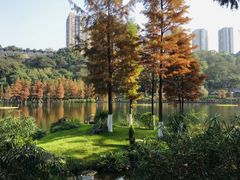 -重庆彩云湖湿地公园