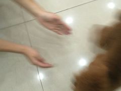 -酷狗靓猫宠物·洗护·美容·寄养(航北路店)