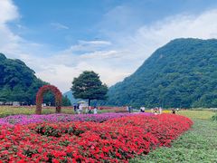 -广州市石门国家森林公园