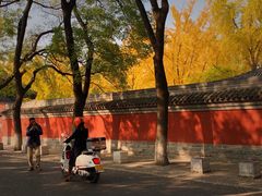 -北京国子监胡同