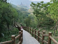 -白水寺森林公园