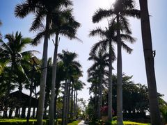 -铭轩中餐厅·海南菜·粤菜(亚龙湾瑞吉店)
