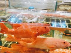 -江南府第·萧山宴(钱江世纪城店)