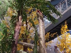 -湖南省地质博物馆