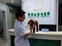 -菲丽丝宠物医院·24小时·猫科中心·免疫点(淮海分院)