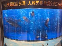 -潇湘码头·鲜湘菜(清河店)