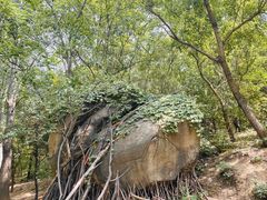 -白水寺森林公园