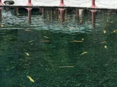-丽江玉水寨