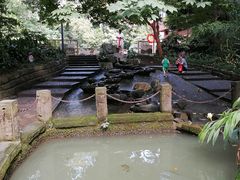 -成都市活水公园