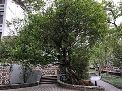 -广东温泉宾馆