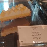 新晋网红店打卡