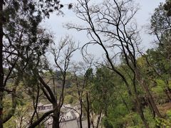 -泰山风景名胜区