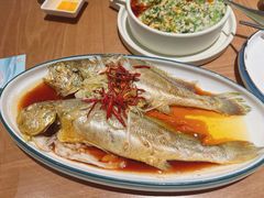 -波螺油子青岛本帮菜(银座店)