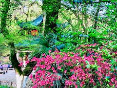 -岳麓山风景名胜区