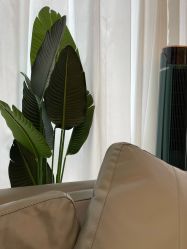 -Hello Lady发型设计