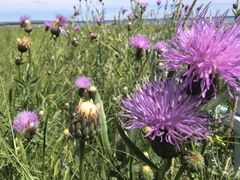 -呼和诺尔旅游景区