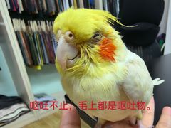 -雨林宠物医院 非犬猫异宠专科