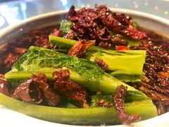 活捉莴笋尖-小谭川菜(紫薇田园店)