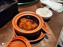 张氏狮子头-羲和雅苑•北京烤鸭(吴中路万象城店)