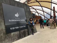 -怀托摩萤火虫洞