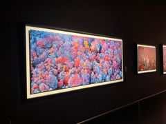 -罗红摄影艺术馆