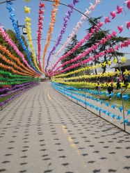 -水八仙生态园
